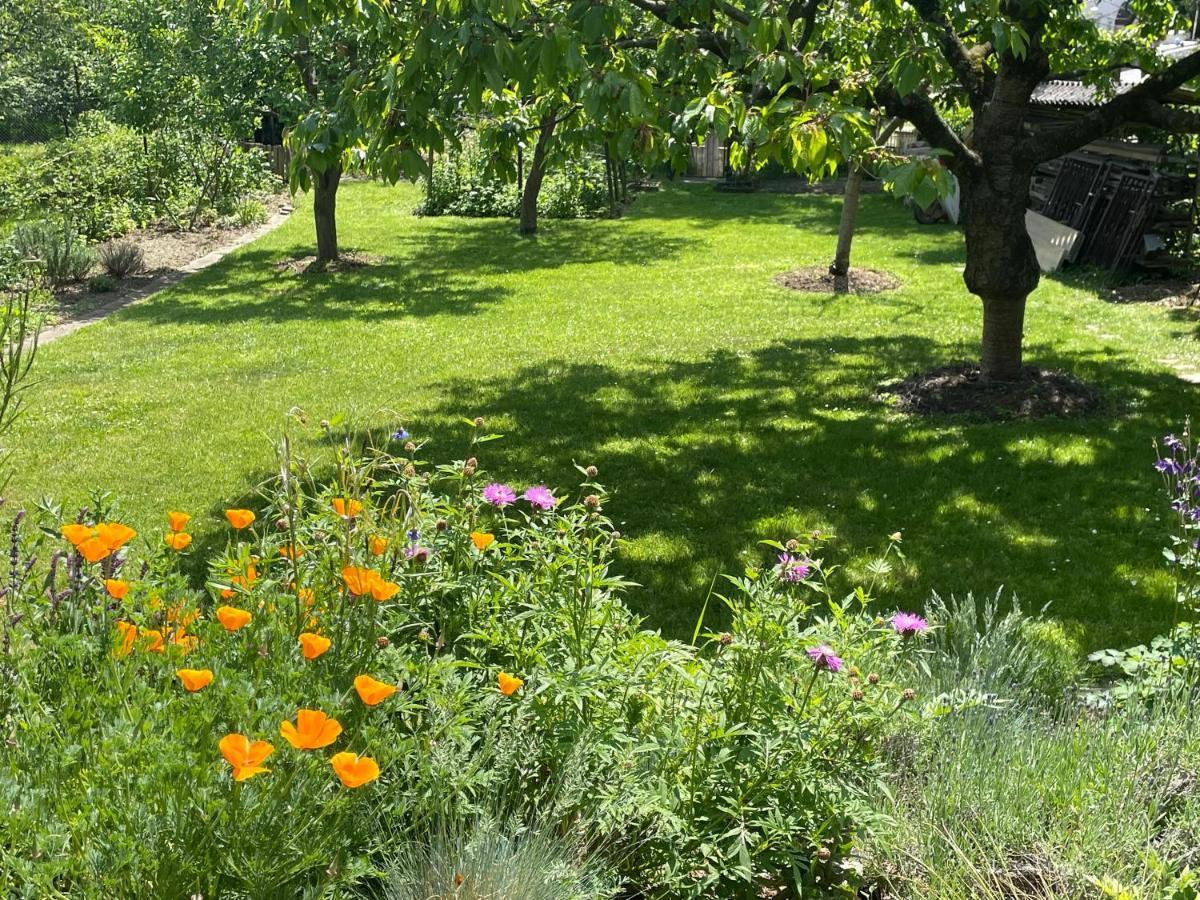 Vila Haus Welzel Drážďany Exteriér fotografie