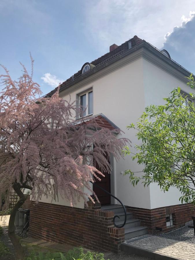 Vila Haus Welzel Drážďany Exteriér fotografie